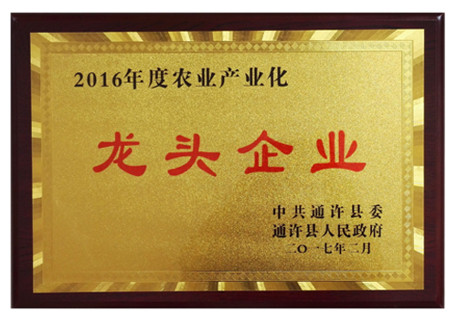 2016年度農(nóng)業(yè)產(chǎn)業(yè)化龍頭企業(yè)